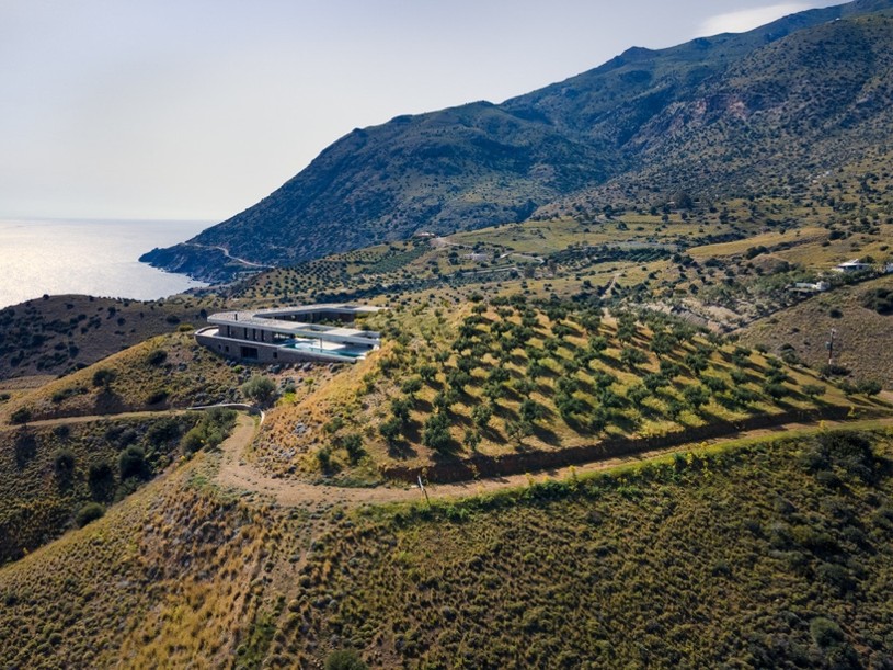 https://ringhouse.estate/wp-content/uploads/2026/06/Olive-Grove-Aerial.jpg